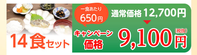 14食セット 9,100円