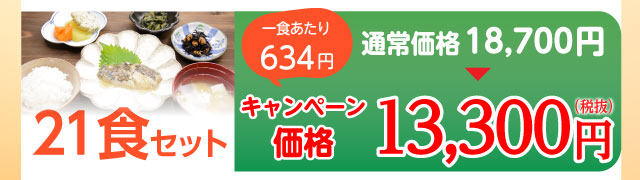 21食セット 13,300円