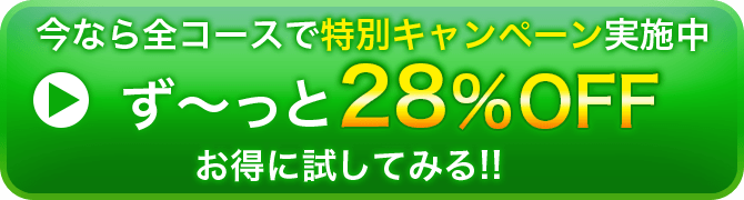 ずっと28%OFF!特別キャンペーン価格で試してみる