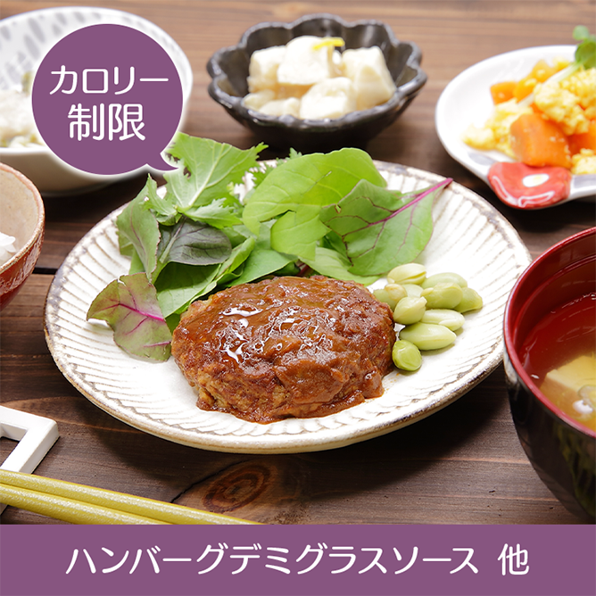 ハンバーグデミグラスソース 他